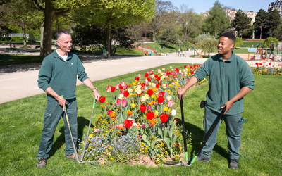 Jeune jardinier avec son tuteur.