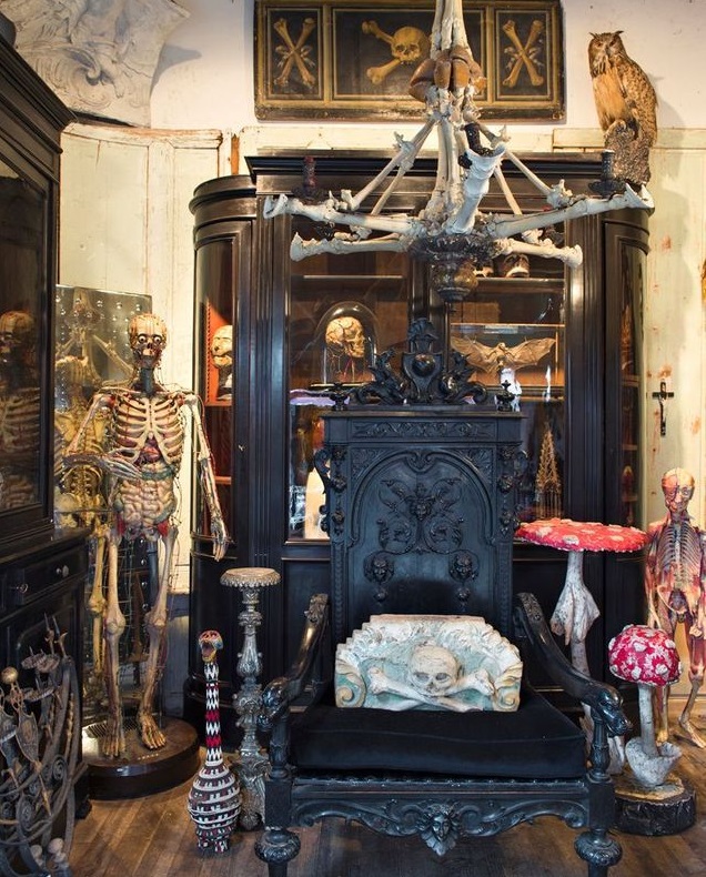 Cabinet de curiosités