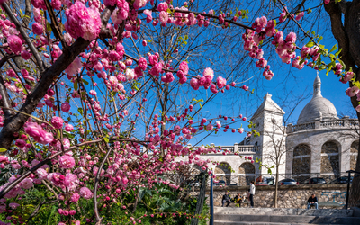 Sacré Cœur au printemps