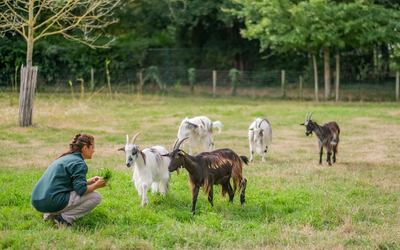 Visite de la ferme de Paris