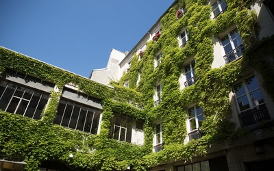 Deux murs d'immeubles avec des fenêtres. Tout ce qui entoure les fenêtres est végétalisé.