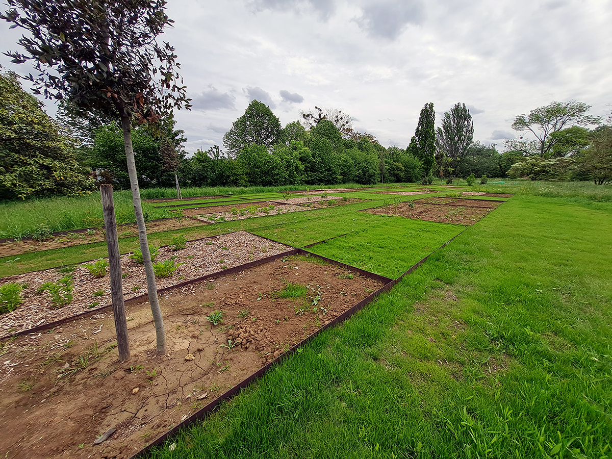 Photo des parcelles du site d'expérimentation situé à l'Arboretum de Paris