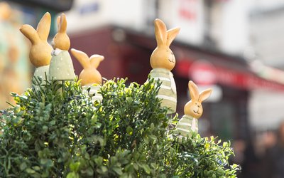 Petits lapins de Pâques, dans le 18e.