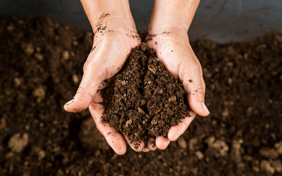 Un homme tient dans ses mains de la terre de compost.